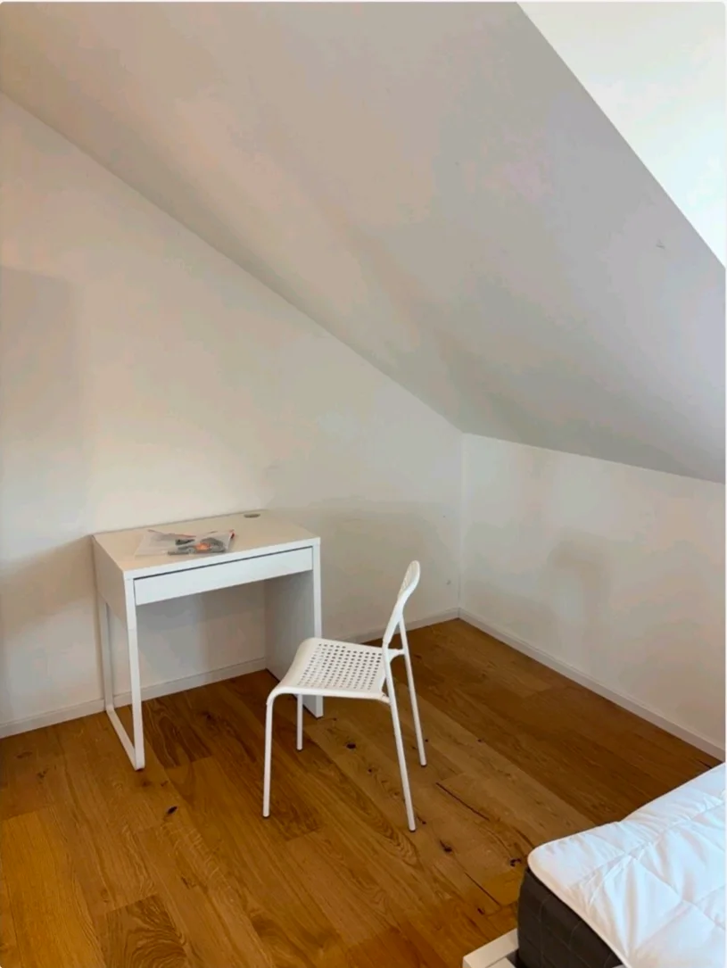 Jul - Aug: Furnished Room in Obergiesing, Munich WG photo 3