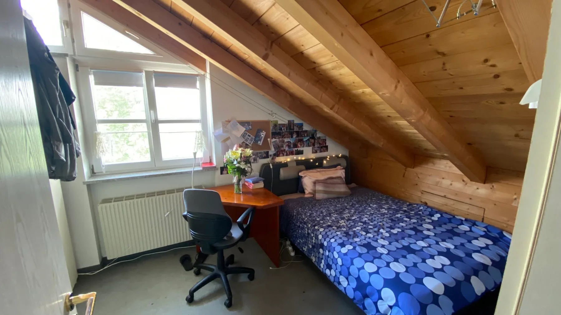 🌸 FEMALE TENANT NEEDED for 4 Person WG in Laim/Hadern🌸 photo 2