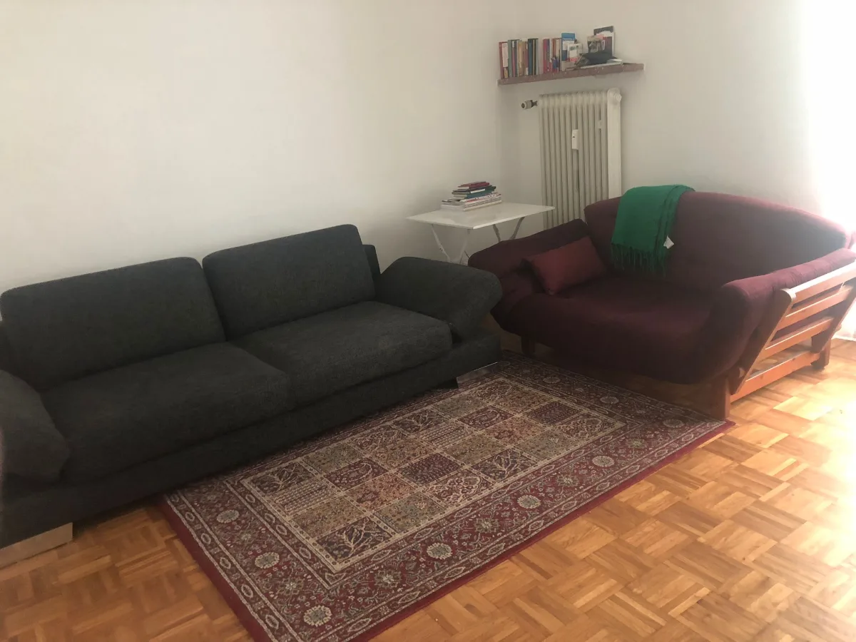 One-bedroom apartment available for sublet