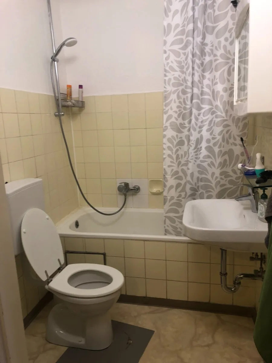 One-bedroom apartment available for sublet photo 2